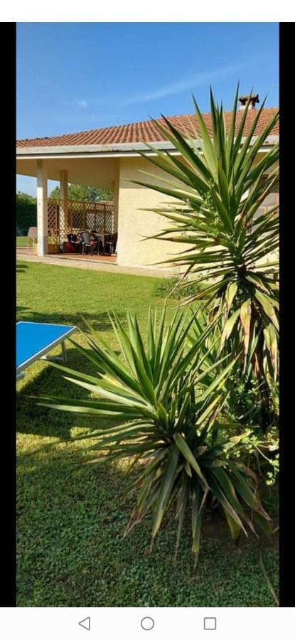 Green Garden Viareggio Exterior photo